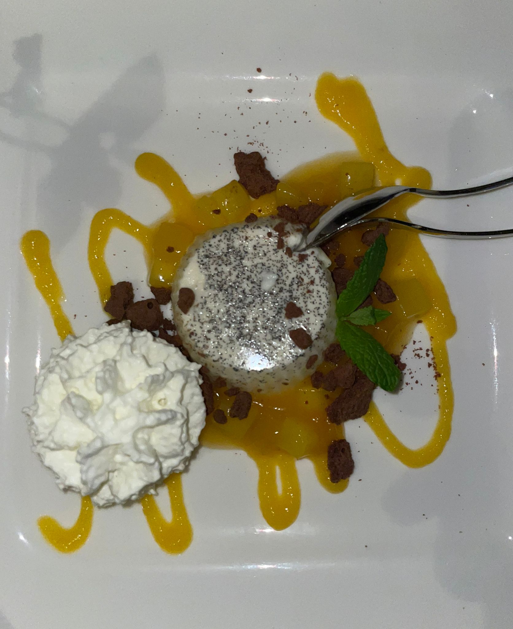 Mohn-Panna-cotta mit Mango und Schokolade
